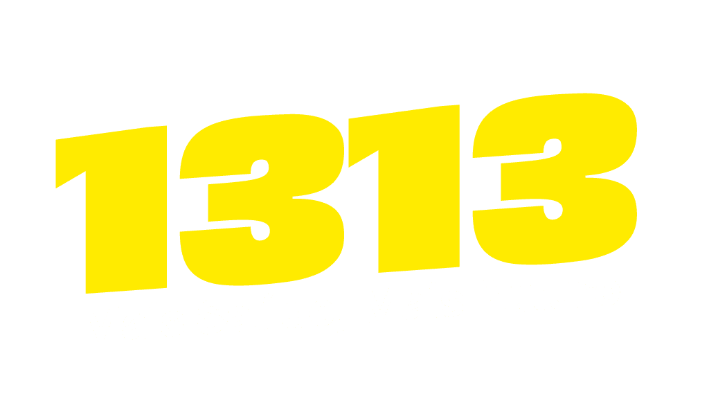 1313 — Mais Saúde, Mais Futuro